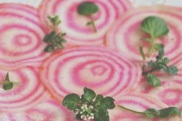 Carpaccio z buraka chioggia