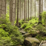 Wodospady w Karkonoszach...