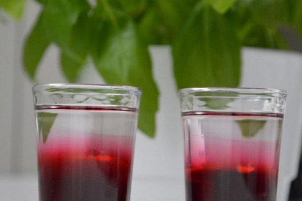 Shot Wściekły pies