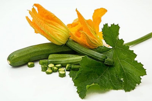 Cukinia