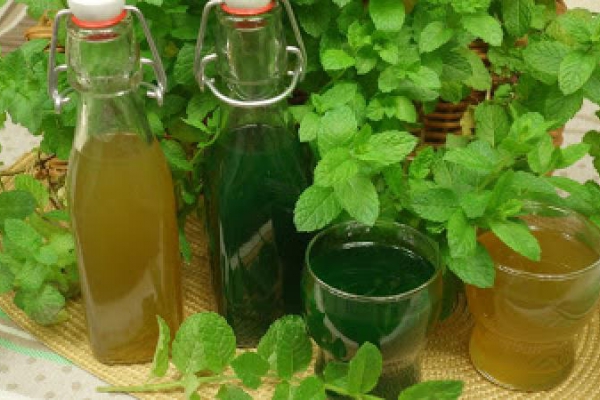 Syrop z mięty na zimę – aromatyczny i pyszny