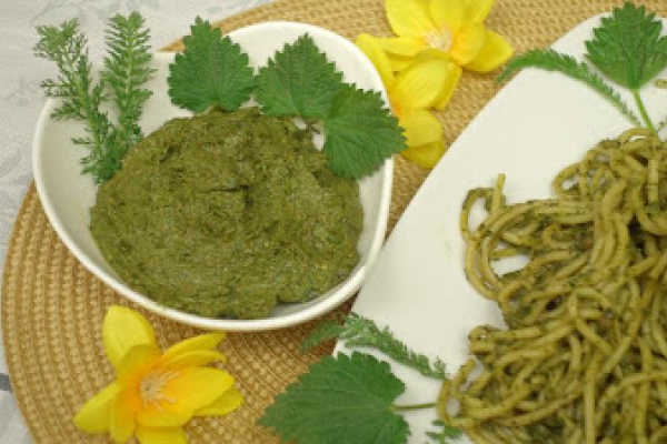 Wiosenne pesto z pokrzywy krwawnika i mniszka lekarskiego (mlecza)