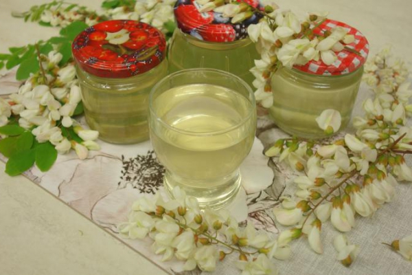 Domowy syrop na kaszel z kwiatów akacji - Robinia Akacjowa Syrop
