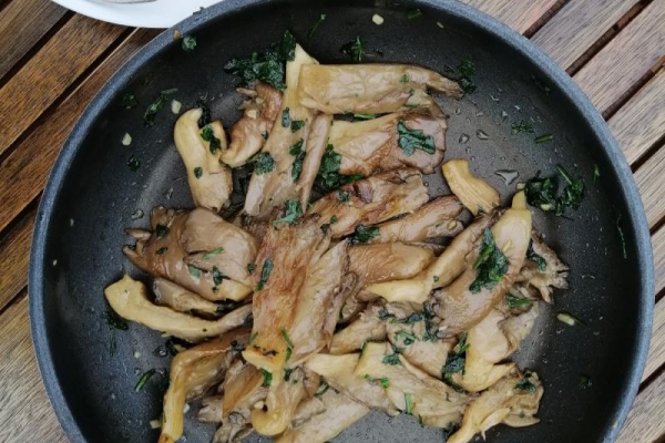 Hiszpania - Boczniaki smażone z czosnkiem i natką pietruszki (Setas salteadas con ajo y perejil)