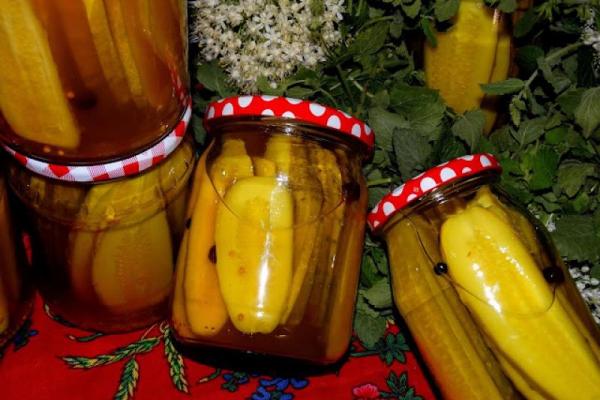 Ogórki kanapkowe