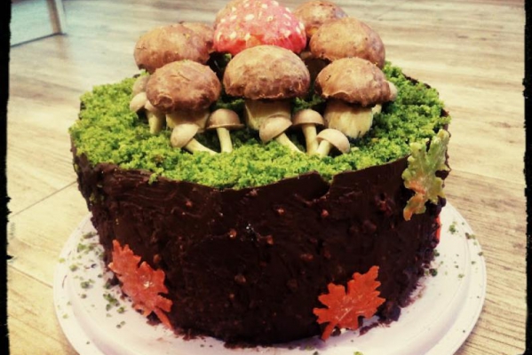 Tort grzybiarza (leśny mech)