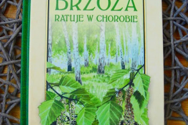 Brzoza ratuje w chorobie ZBIGNIEW T. NOWAK recenzja