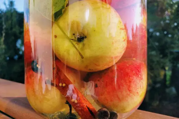 Kiszone jabłka z przyprawami korzennymi