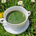 Zielona zupa z pokrzywy...