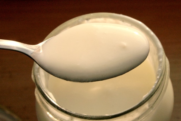 Domowy jogurt naturalny 