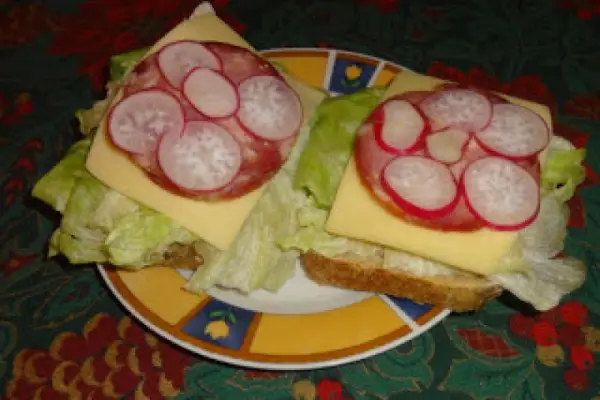 Kanapki z sałatą, serem żółtym, kiełbasą i rzodkiewką.