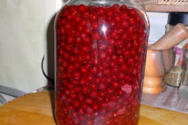 Kompot z czerwonej porzeczki.