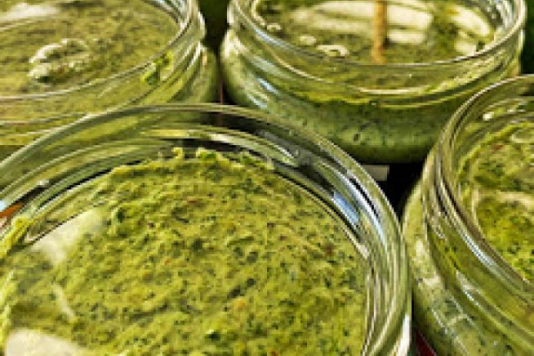 072. pesto z czosnku niedźwiedziego