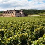 Co to jest wino Château?