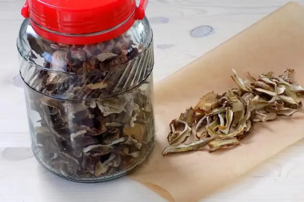 Najszybszy sposób na suszenie grzybów