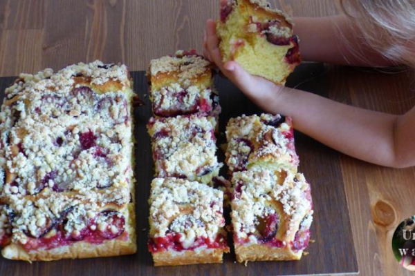 Urwis w kuchni - pieczemy ciasto drożdżowe ze śliwkami z przepisu prababci Stasi