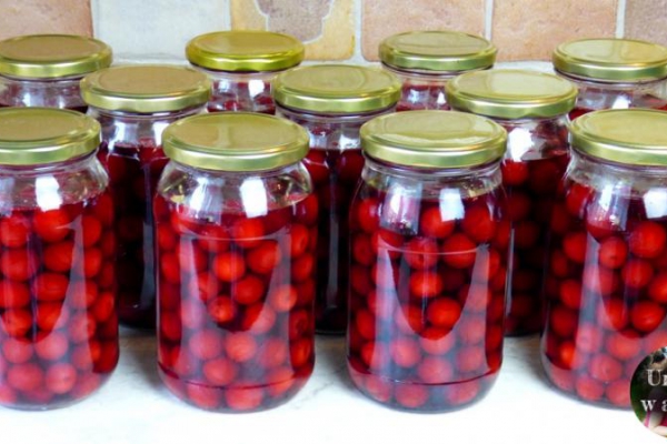 Szybki kompot z wiśni mojej Mamy - prosty przepis