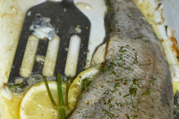 Pstrąg z pieca w koprze i cytrynie