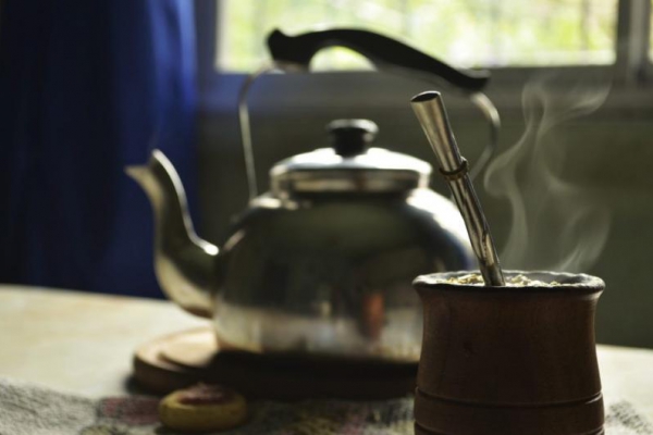 Wszystko, co warto wiedzieć o yerba mate