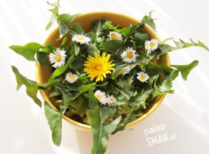 Sałatka polna (wiosenna)