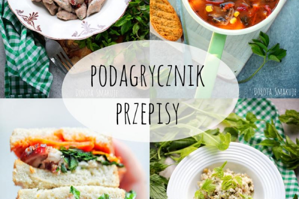 Podagrycznik – przepisy na dania z podagrycznikiem