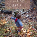 Cytaty o jesieni dla...