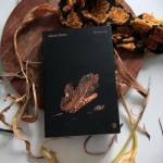 „Kontury” Jakub Jarno