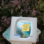 TRAVEL GUIDE SET box