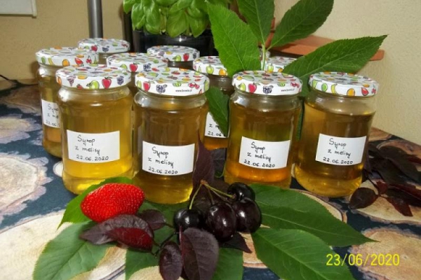 Syrop z melisy
