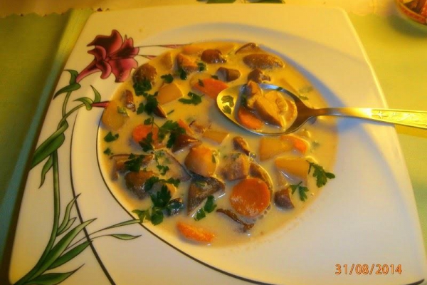 Zupa grzybowa