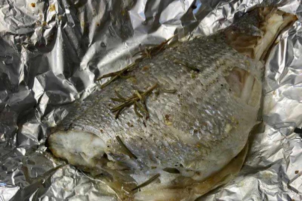 Dorada morska