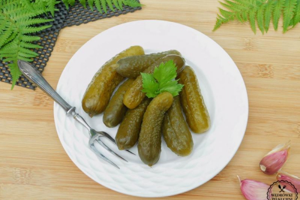 Domowe ogórki kiszone