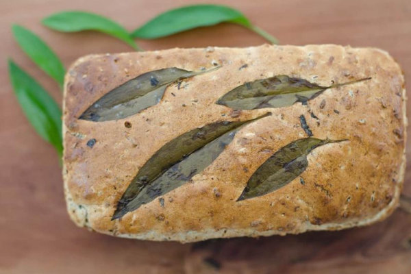 Chleb niedźwiedzi