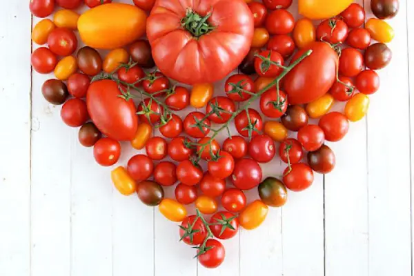 Podsumowanie akcji  Pora na pomidora 2016