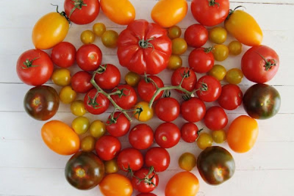 Podsumowanie akcji  Pora na Pomidora