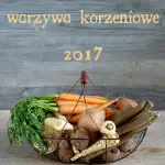 Warzywa korzeniowe 2017...