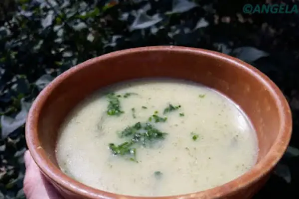 Zupa krem z cukinii i świeżych ogórków - Zucchini And Fresh Cucumber Cream Soup Recipe - Vellutata alle zucchine e cetrioli