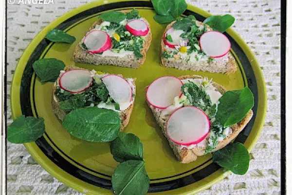 Kanapki z lucerną i krawnikiem - Alfalfa And Yarrow Sandwiches Recipe - Pane con erba medica e mille foglie