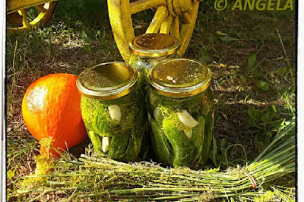 Ogórki kiszone tradycyjnie - Fermented Cucumbers Recipe - Cetrioli in salamoia