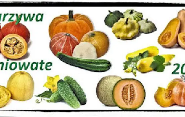 Zaproszenie do Akcji kulinarnej: Warzywa dyniowate 2019