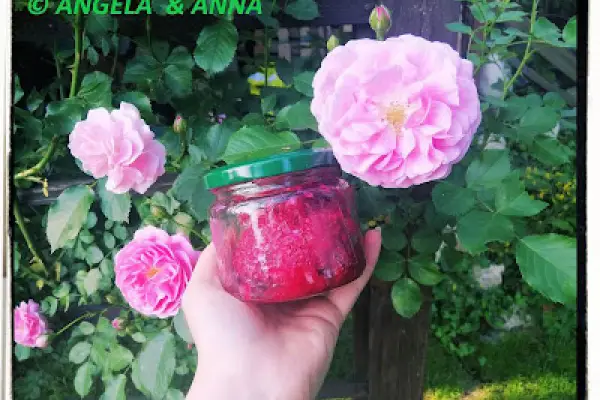 Konfitura z płatków róży - Rose Petal Jam Recipe - Confettura di petali di rosa