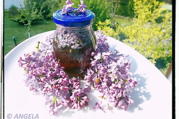 Miód z kwiatami bzu - Lilac Honey Recipe -  Miele  di fiori di lillà