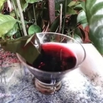 Wino grzane na liściach...