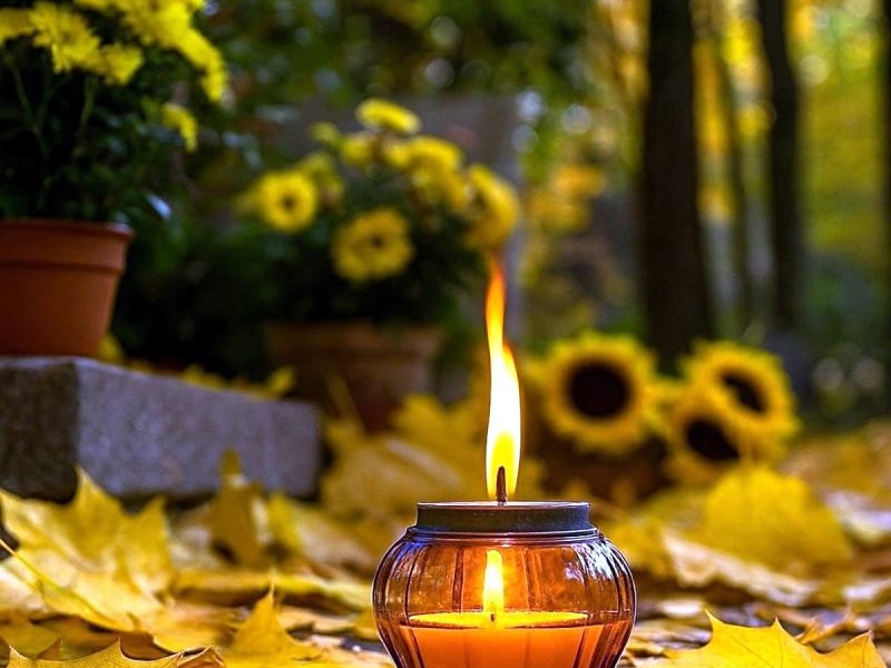 Zaduma w ogrodzie na Wszystkich Świętych