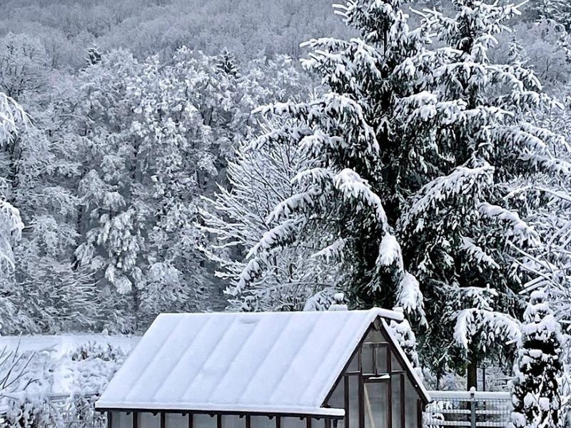 Zima w ogrodzie - praktyczne porady