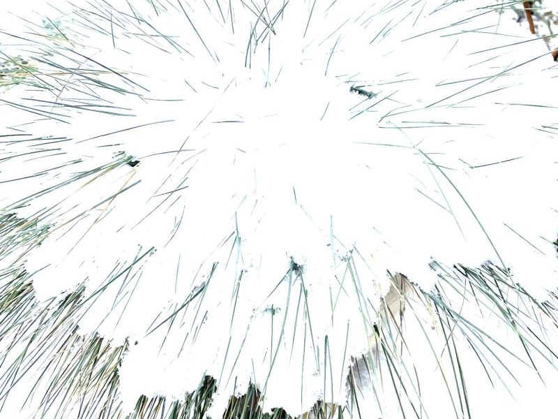 Koreczki na patyczkach - przekąska karnawałowa 