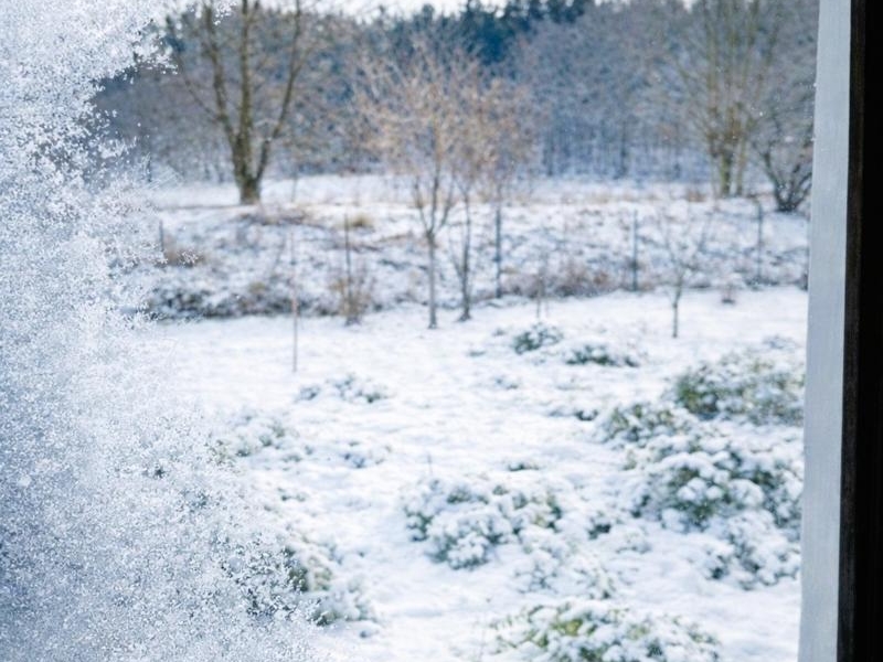Mróz rysuje historie w ogrodzie