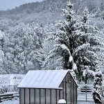 Zima w ogrodzie -...