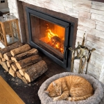 Smaki ogrodu w zimie