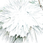 Koreczki na patyczkach -...